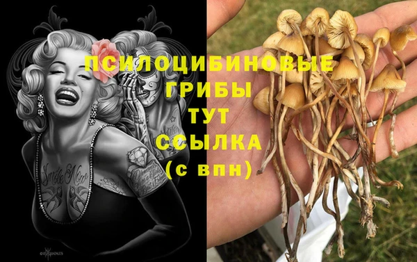 2c-b Белоозёрский